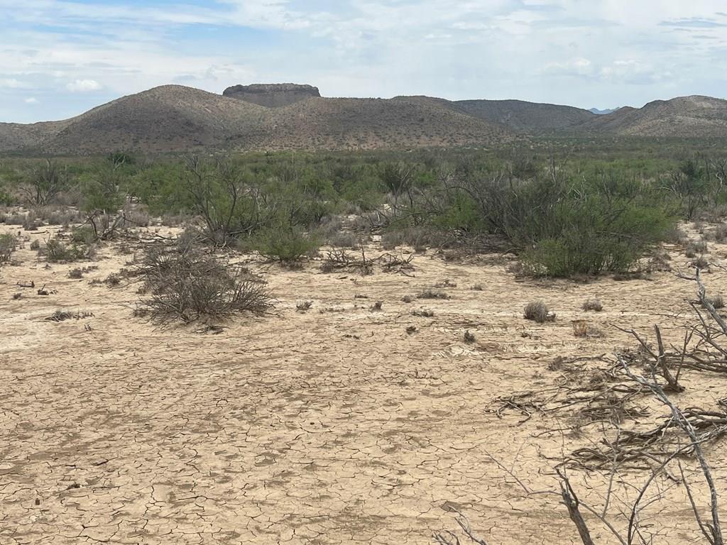 15434 Arlington St, Terlingua, Texas image 1