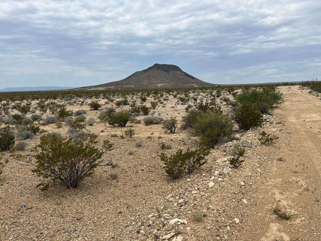 15434 Arlington St, Terlingua, Texas image 2