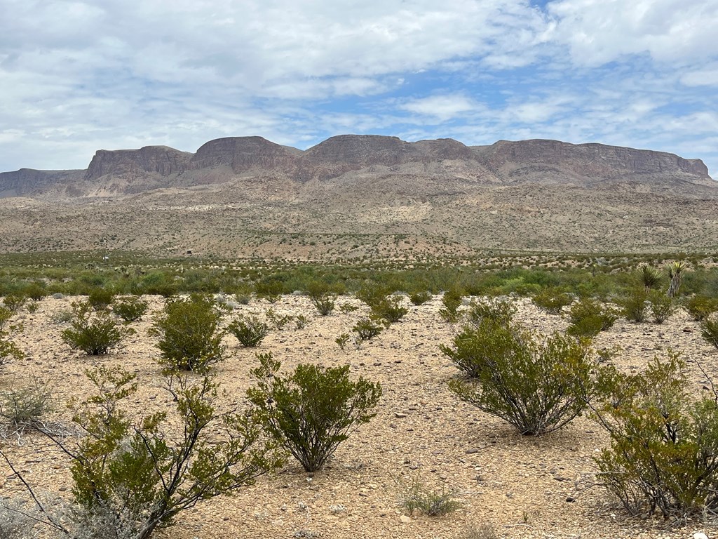 15434 Arlington St, Terlingua, Texas image 8