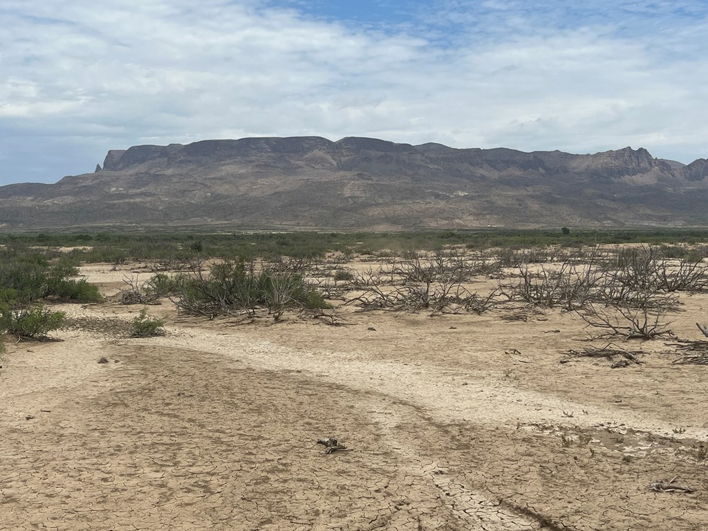 15434 Arlington St, Terlingua, Texas image 4