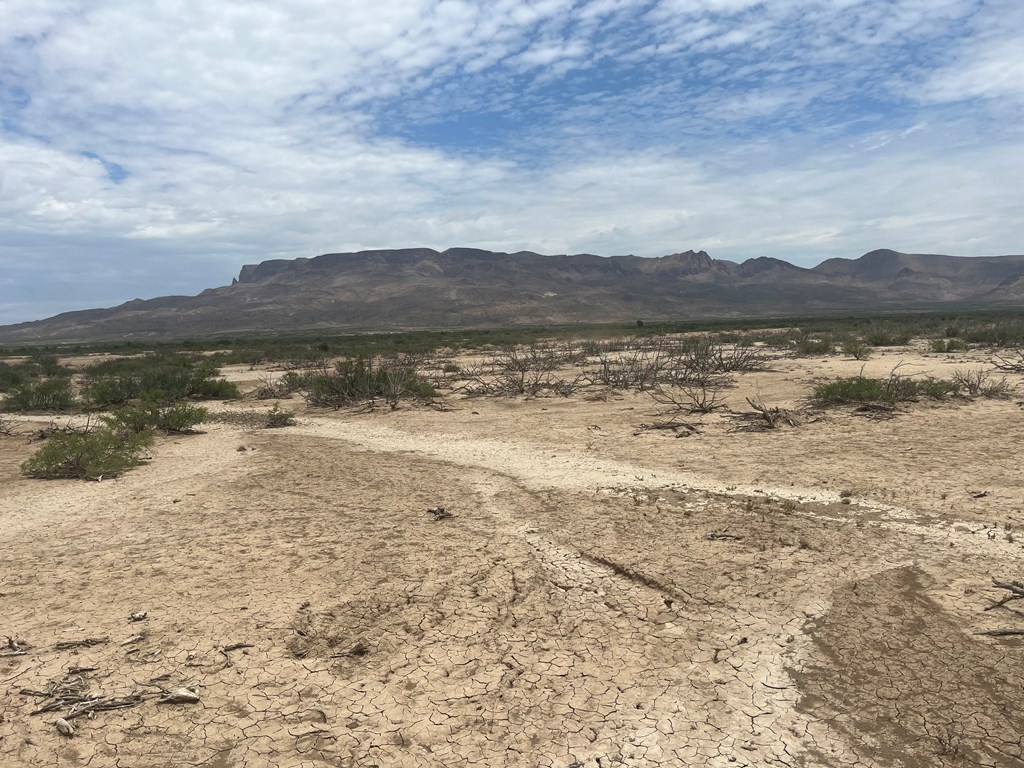 15434 Arlington St, Terlingua, Texas image 3