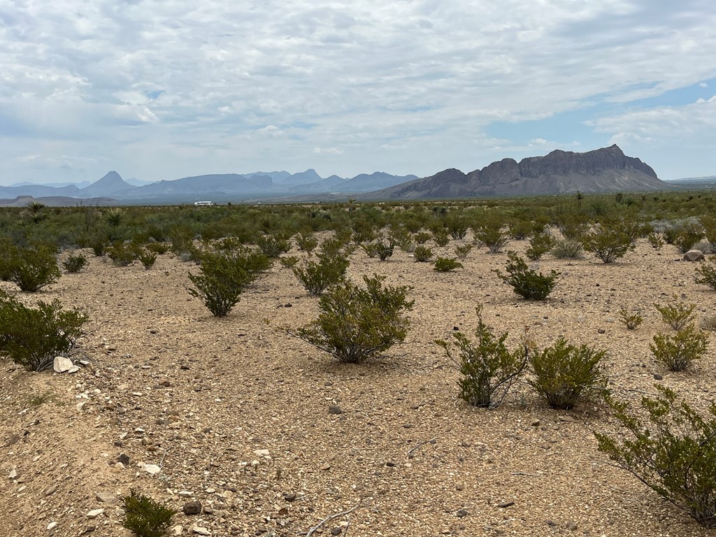 15434 Arlington St, Terlingua, Texas image 7