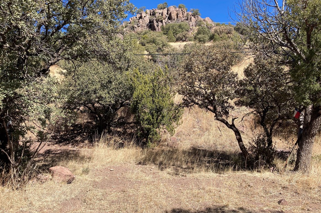 517 Squaw Valley Trail, Fort Davis, Texas image 7