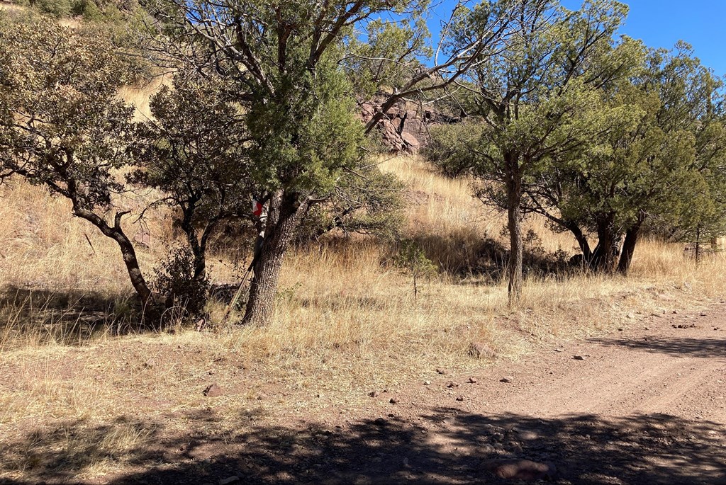 517 Squaw Valley Trail, Fort Davis, Texas image 8