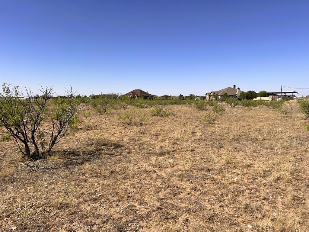4410 Westfork Dr, Odessa, Texas image 18