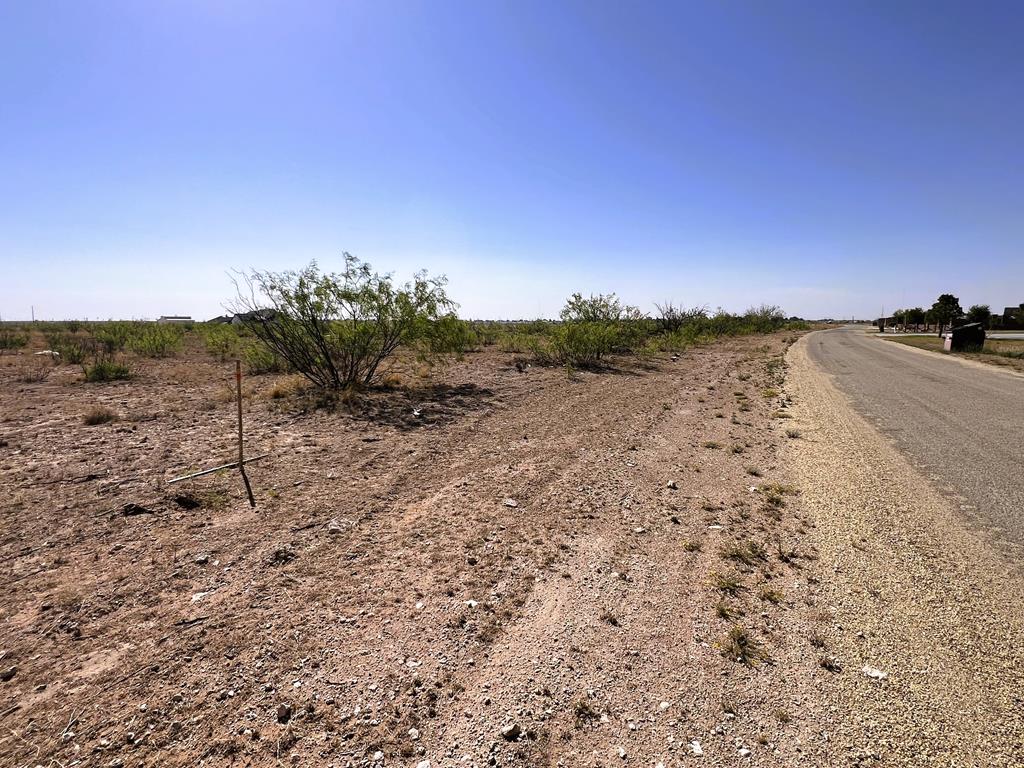 4410 Westfork Dr, Odessa, Texas image 13