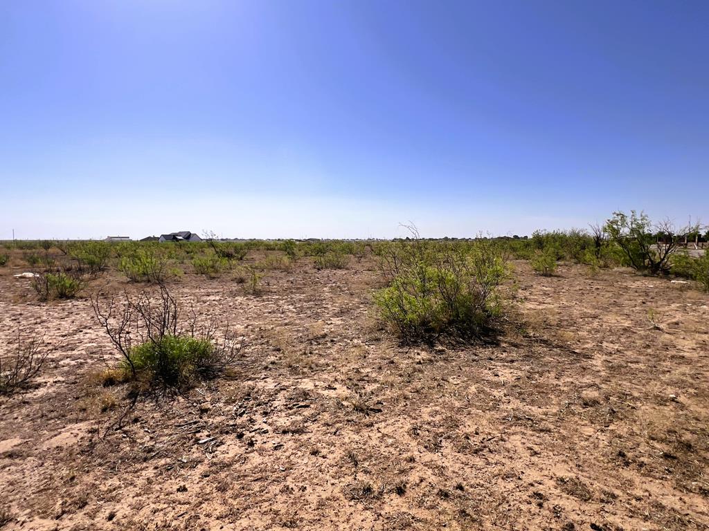 4410 Westfork Dr, Odessa, Texas image 14