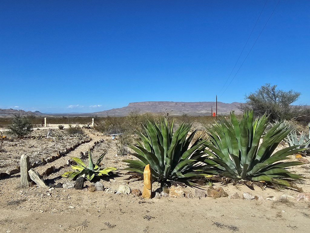 810 Abandon Ave, Terlingua, Texas image 35