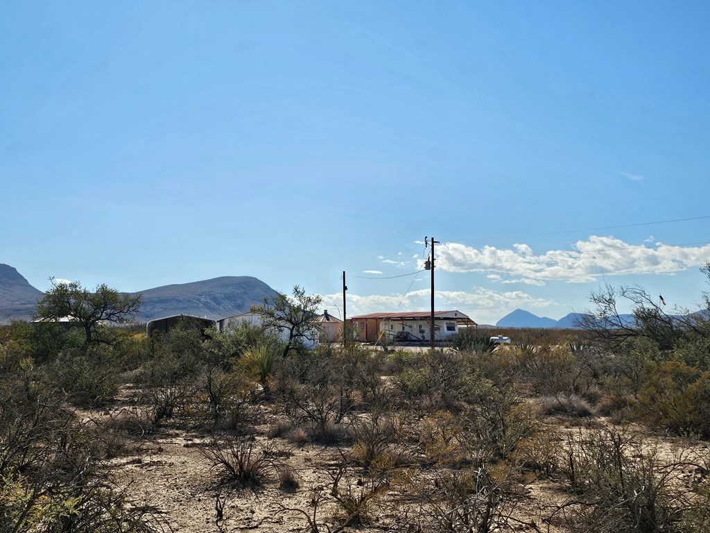 810 Abandon Ave, Terlingua, Texas image 44