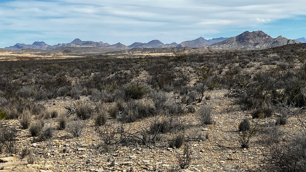 13916 Rancho Manana Loop, Terlingua, Texas image 9