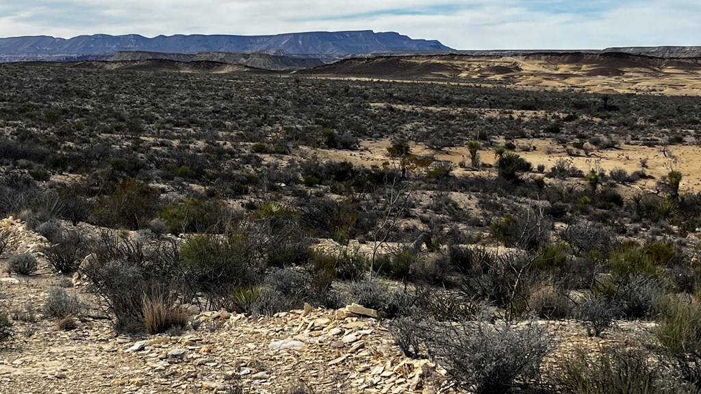 13916 Rancho Manana Loop, Terlingua, Texas image 8