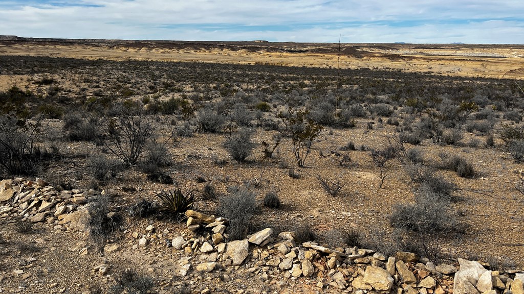 13916 Rancho Manana Loop, Terlingua, Texas image 4