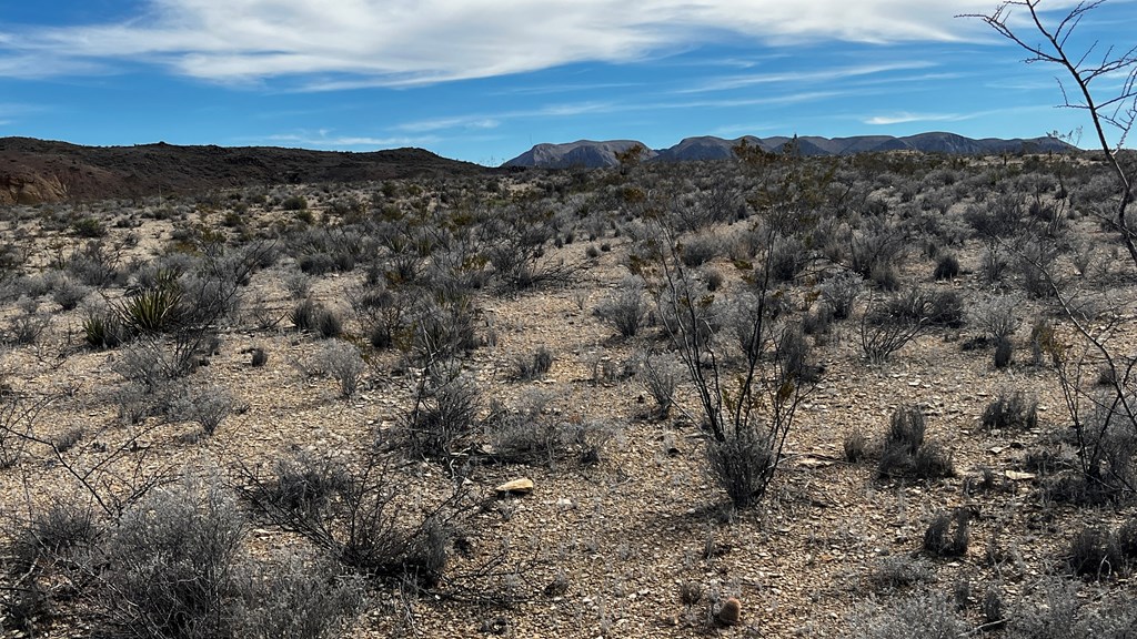 13916 Rancho Manana Loop, Terlingua, Texas image 6