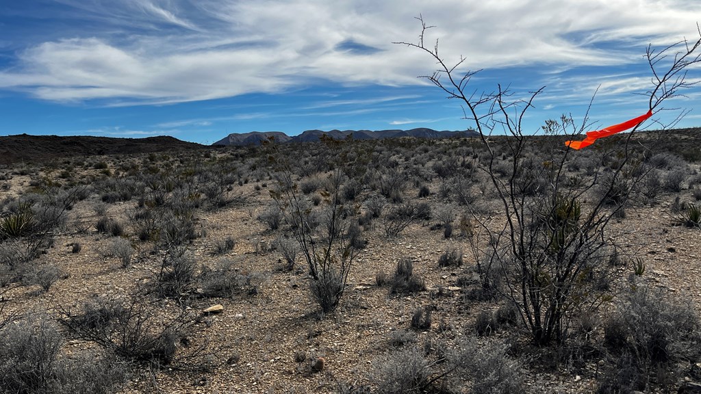 13916 Rancho Manana Loop, Terlingua, Texas image 5