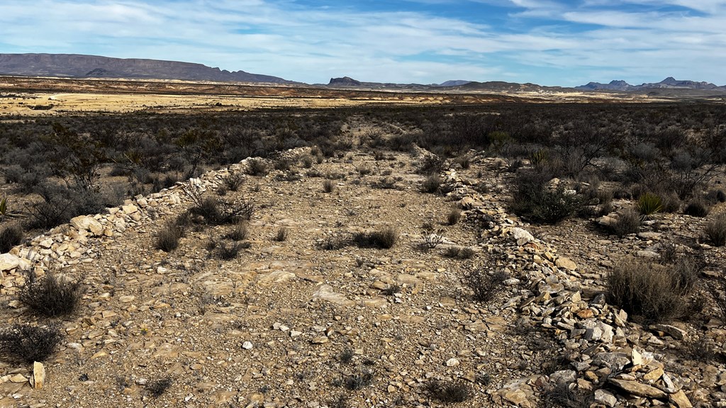 13916 Rancho Manana Loop, Terlingua, Texas image 3