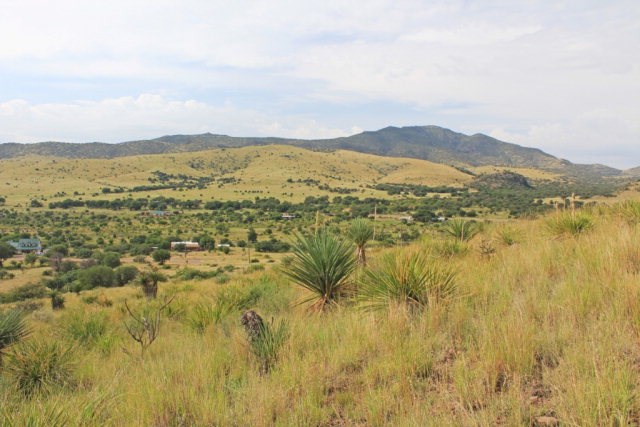 103 Hillcrest Drive, Fort Davis, Texas image 1