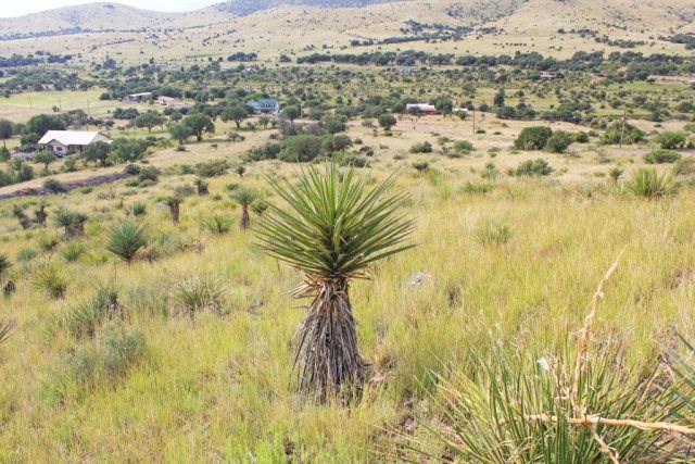 103 Hillcrest Drive, Fort Davis, Texas image 3