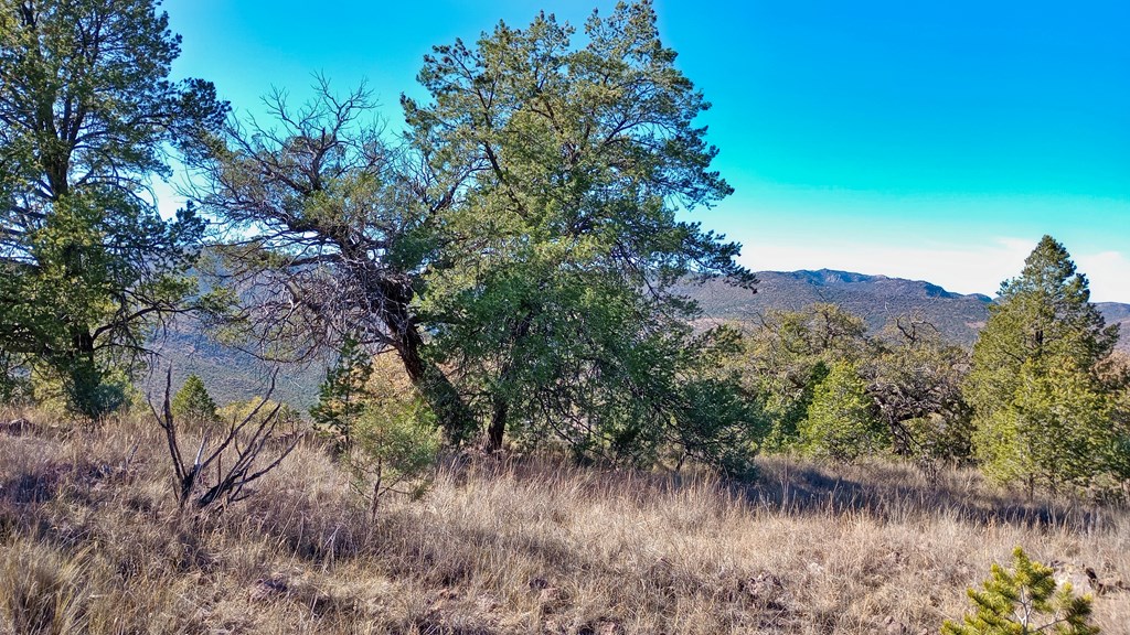 206 Apache Mountain Trail, Fort Davis, Texas image 7