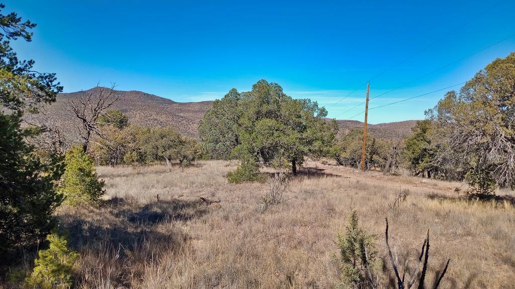 206 Apache Mountain Trail, Fort Davis, Texas image 2