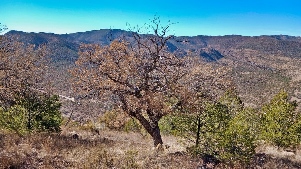 206 Apache Mountain Trail, Fort Davis, Texas image 4