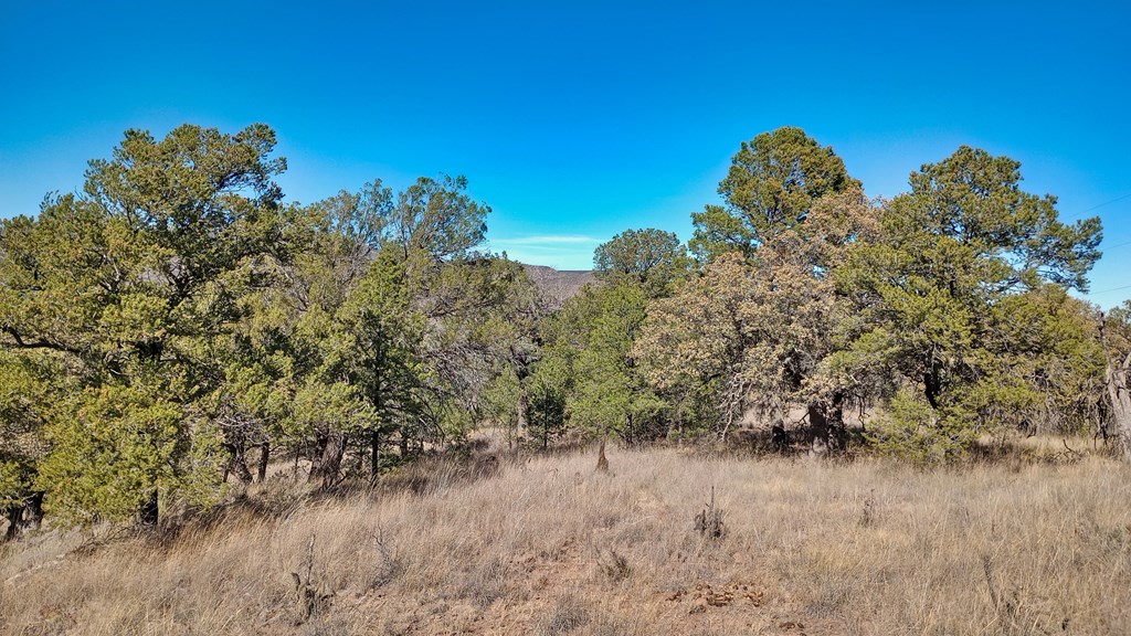 206 Apache Mountain Trail, Fort Davis, Texas image 5