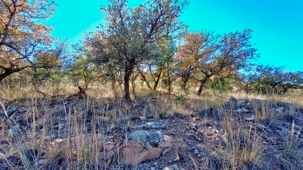 206 Apache Mountain Trail, Fort Davis, Texas image 13