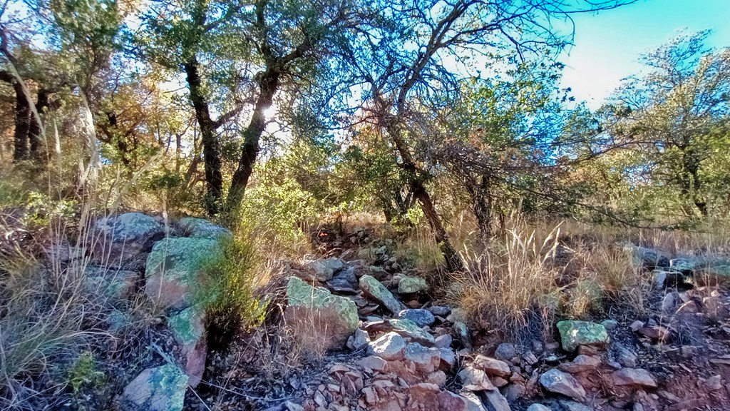 206 Apache Mountain Trail, Fort Davis, Texas image 11