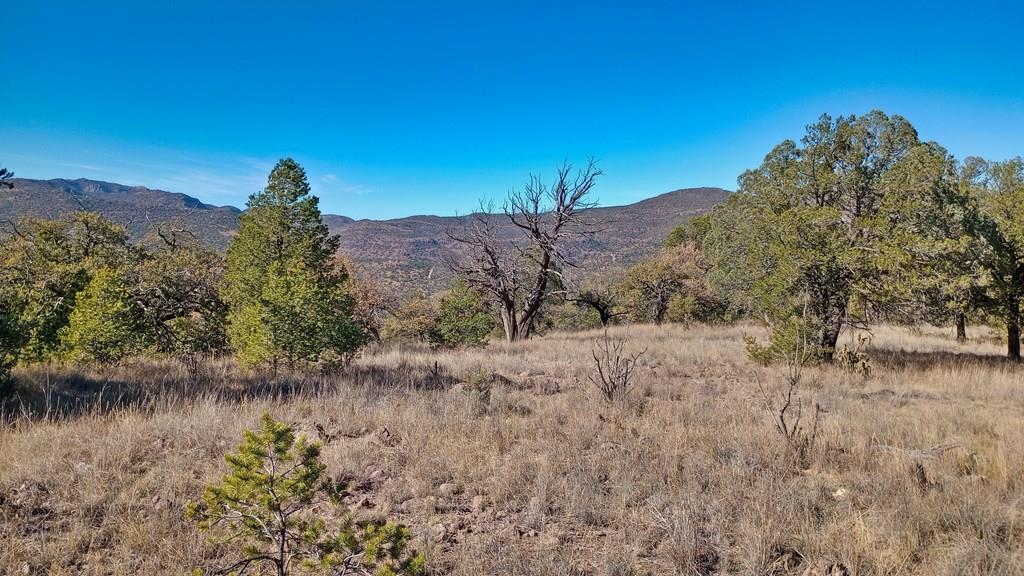 206 Apache Mountain Trail, Fort Davis, Texas image 1