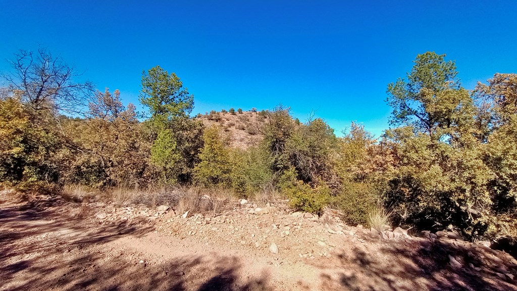 206 Apache Mountain Trail, Fort Davis, Texas image 12