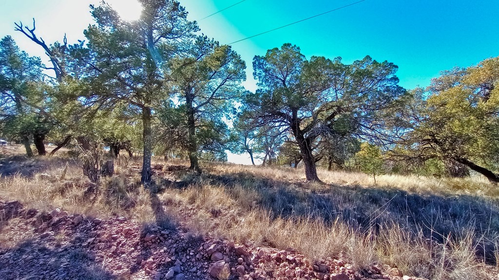 206 Apache Mountain Trail, Fort Davis, Texas image 9