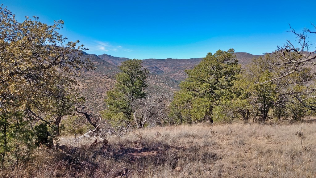 206 Apache Mountain Trail, Fort Davis, Texas image 3