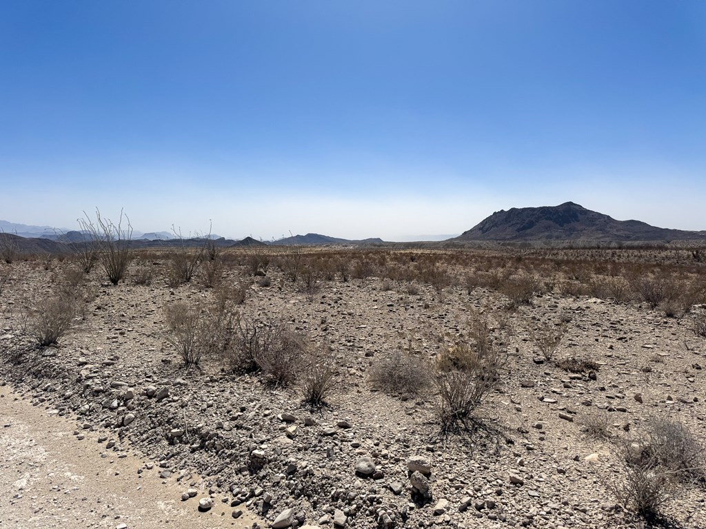 91 Salt Grass Draw, Terlingua, Texas image 3