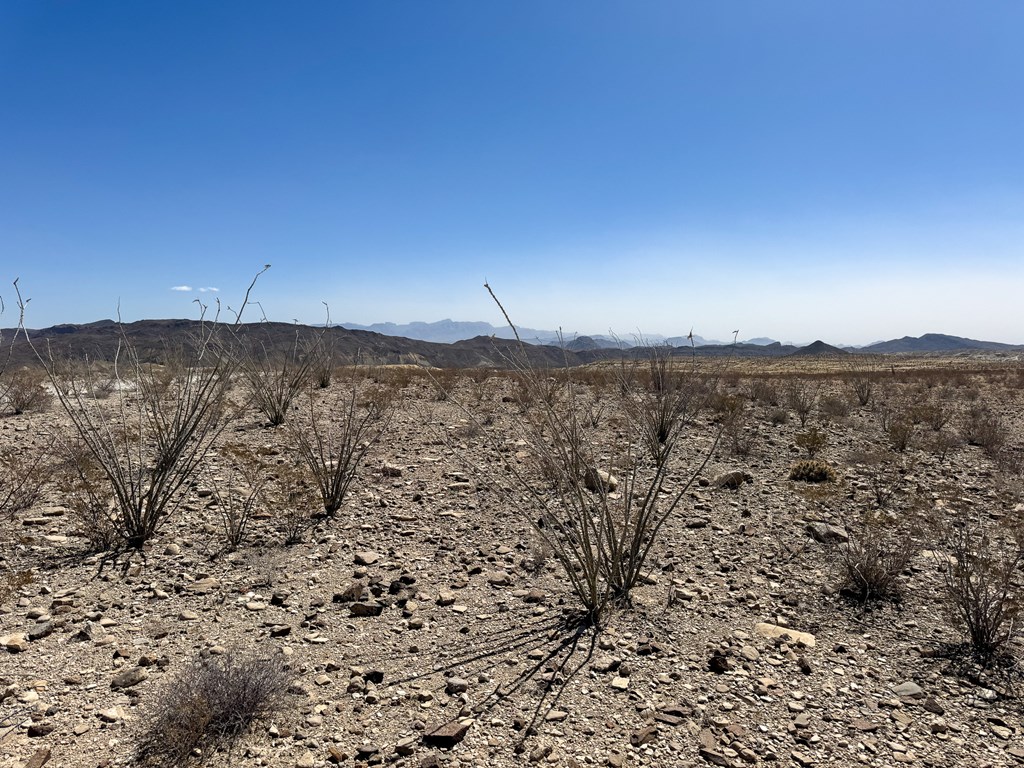 91 Salt Grass Draw, Terlingua, Texas image 8