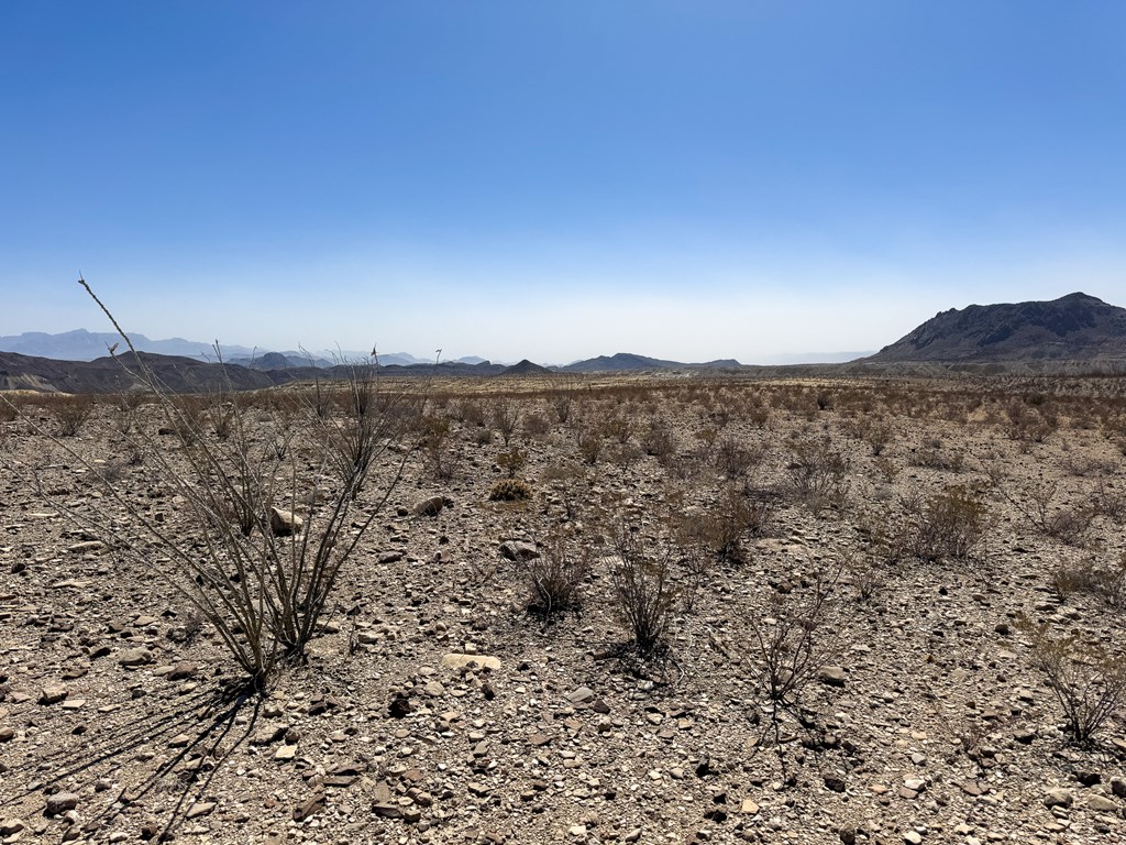 91 Salt Grass Draw, Terlingua, Texas image 9