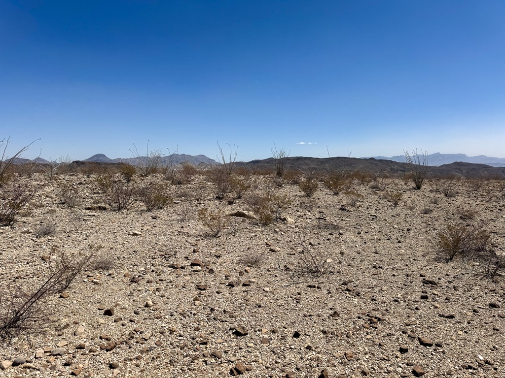 91 Salt Grass Draw, Terlingua, Texas image 14