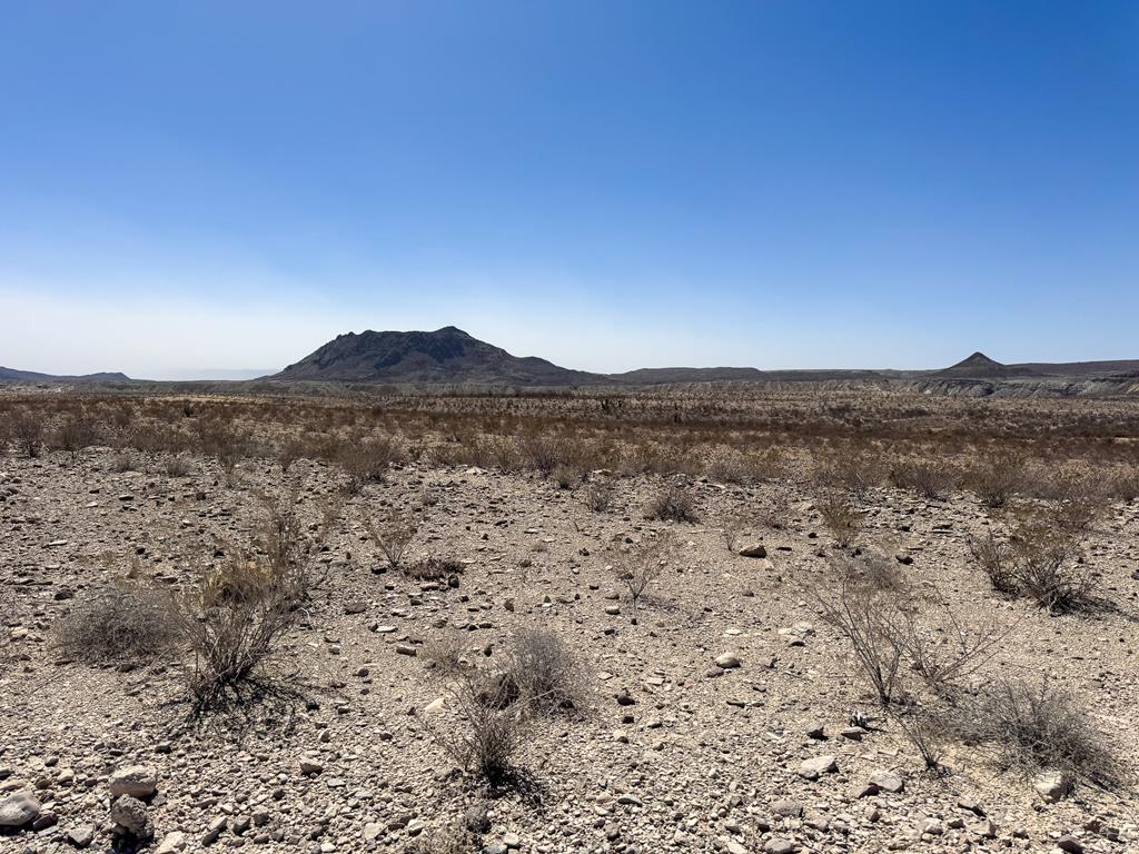 91 Salt Grass Draw, Terlingua, Texas image 1