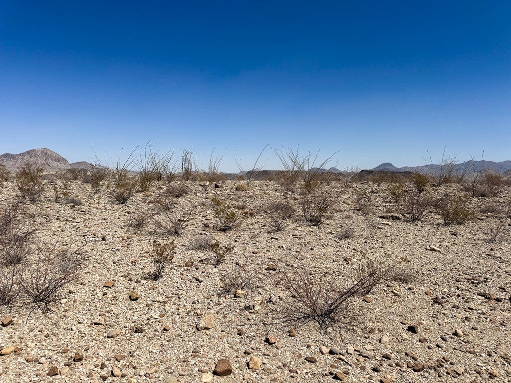 91 Salt Grass Draw, Terlingua, Texas image 15