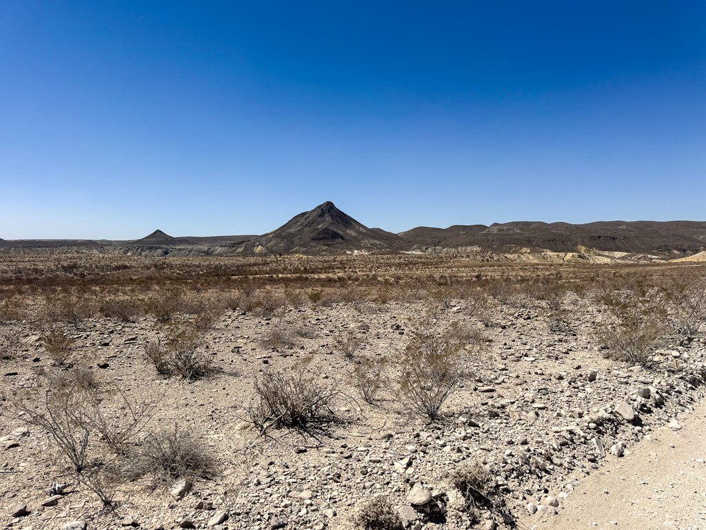 91 Salt Grass Draw, Terlingua, Texas image 4