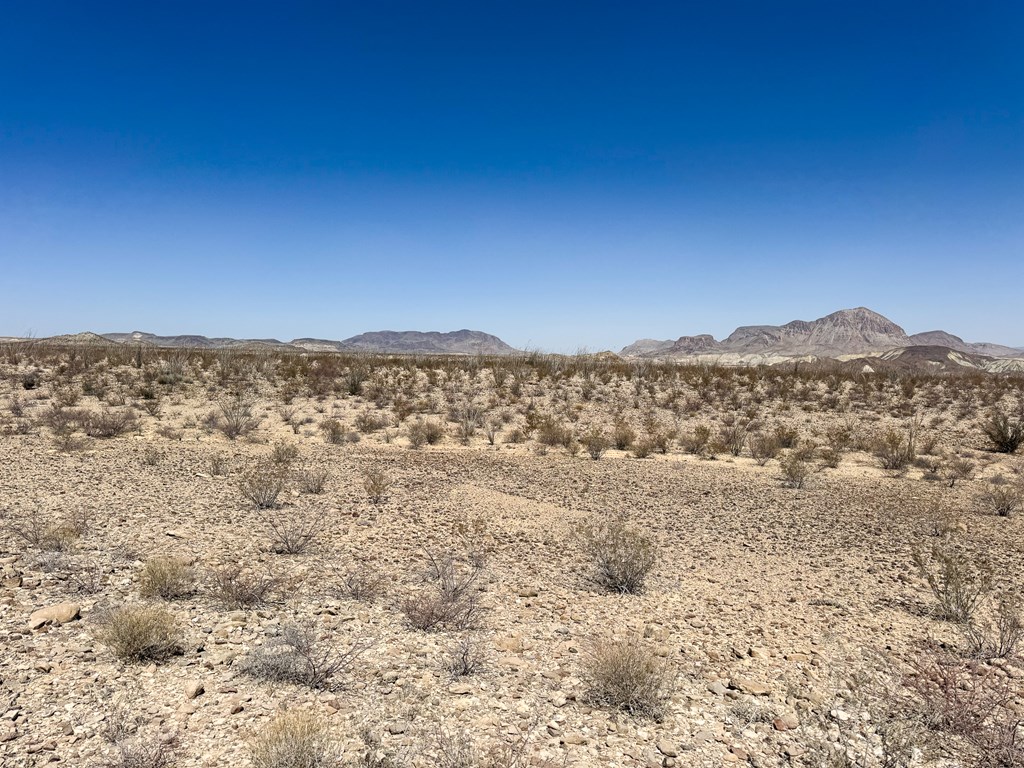 91 Salt Grass Draw, Terlingua, Texas image 6