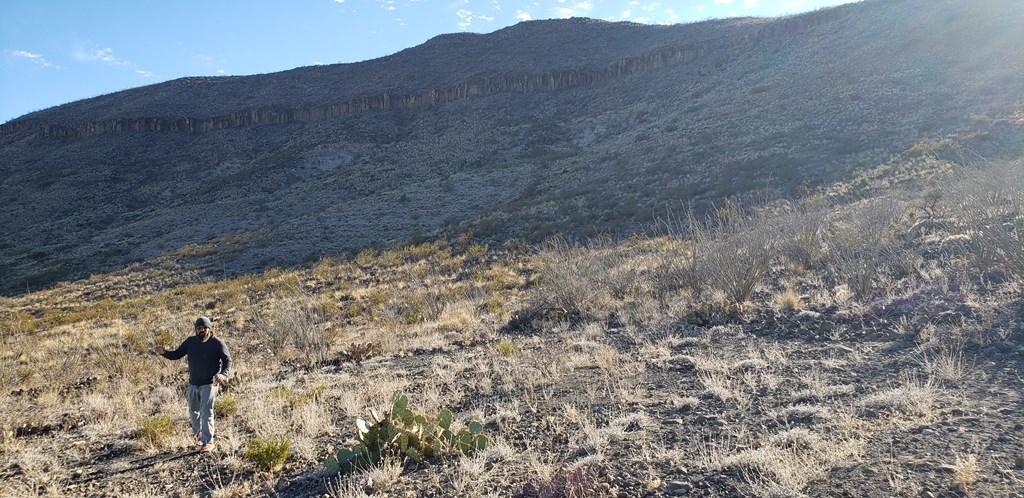1 Red Fox Rd, Terlingua, Texas image 40