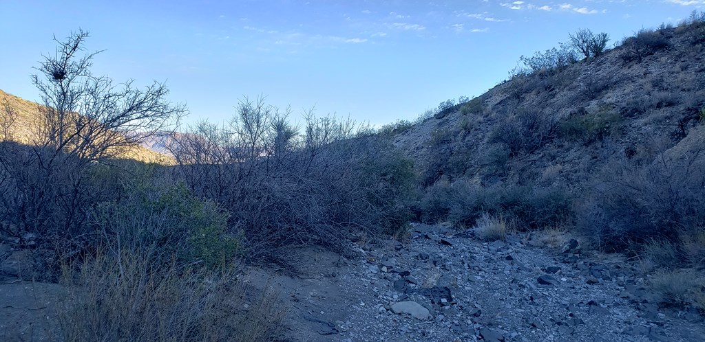 1 Red Fox Rd, Terlingua, Texas image 27