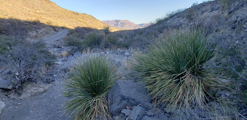 1 Red Fox Rd, Terlingua, Texas image 19