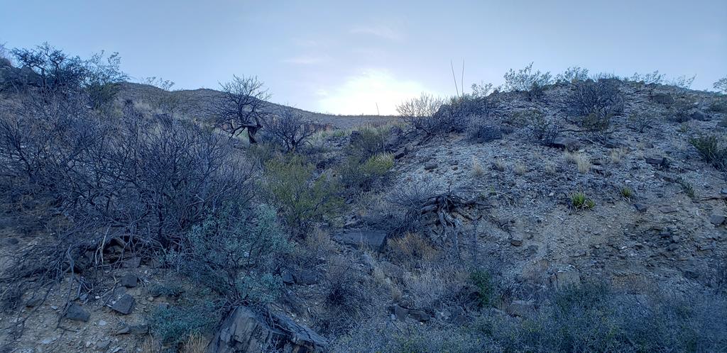 1 Red Fox Rd, Terlingua, Texas image 20