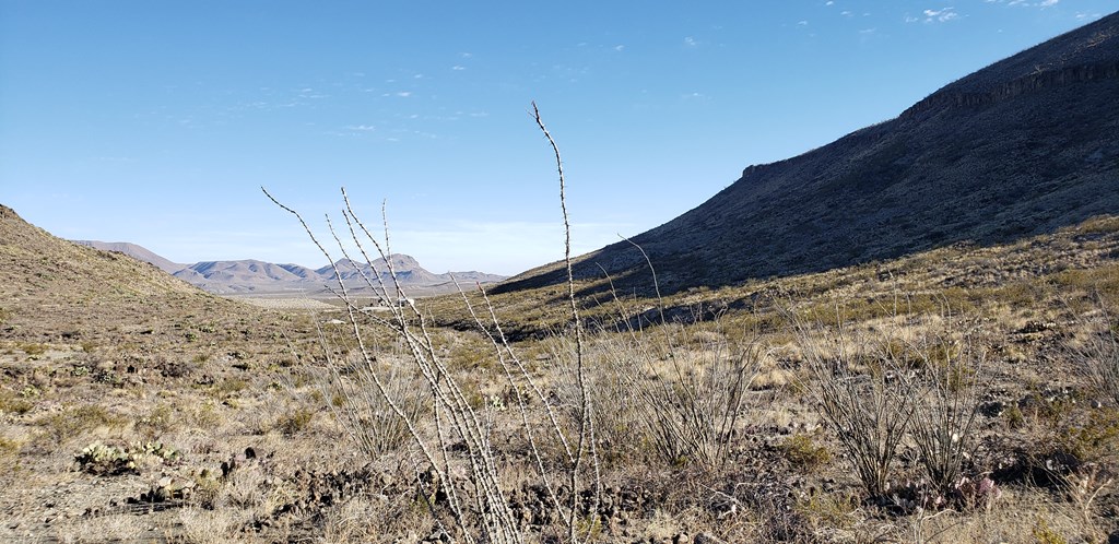1 Red Fox Rd, Terlingua, Texas image 6