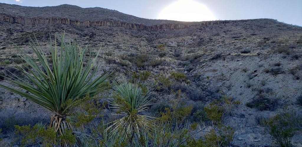 1 Red Fox Rd, Terlingua, Texas image 1