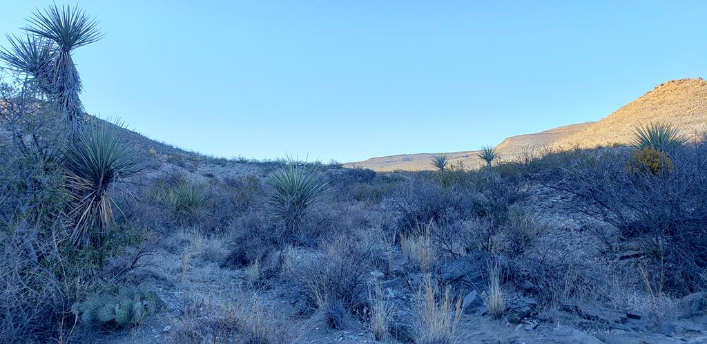 1 Red Fox Rd, Terlingua, Texas image 18