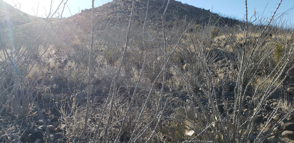 1 Red Fox Rd, Terlingua, Texas image 44