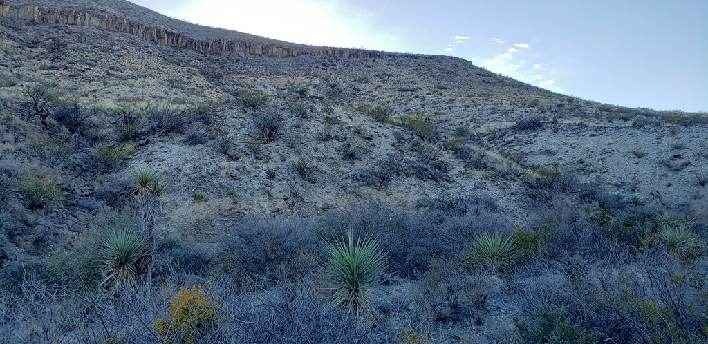 1 Red Fox Rd, Terlingua, Texas image 8