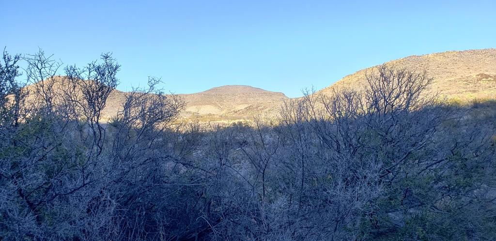 1 Red Fox Rd, Terlingua, Texas image 21