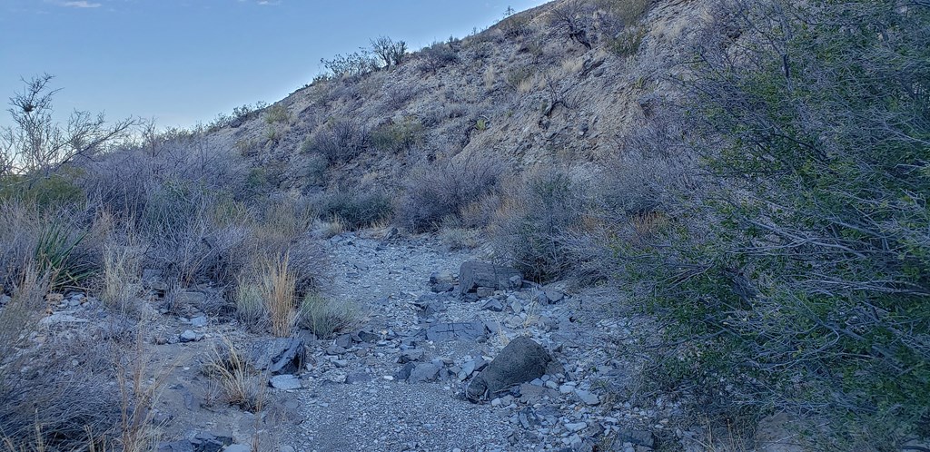 1 Red Fox Rd, Terlingua, Texas image 28